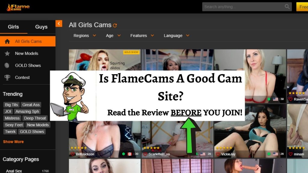 FlameCams FlameCams