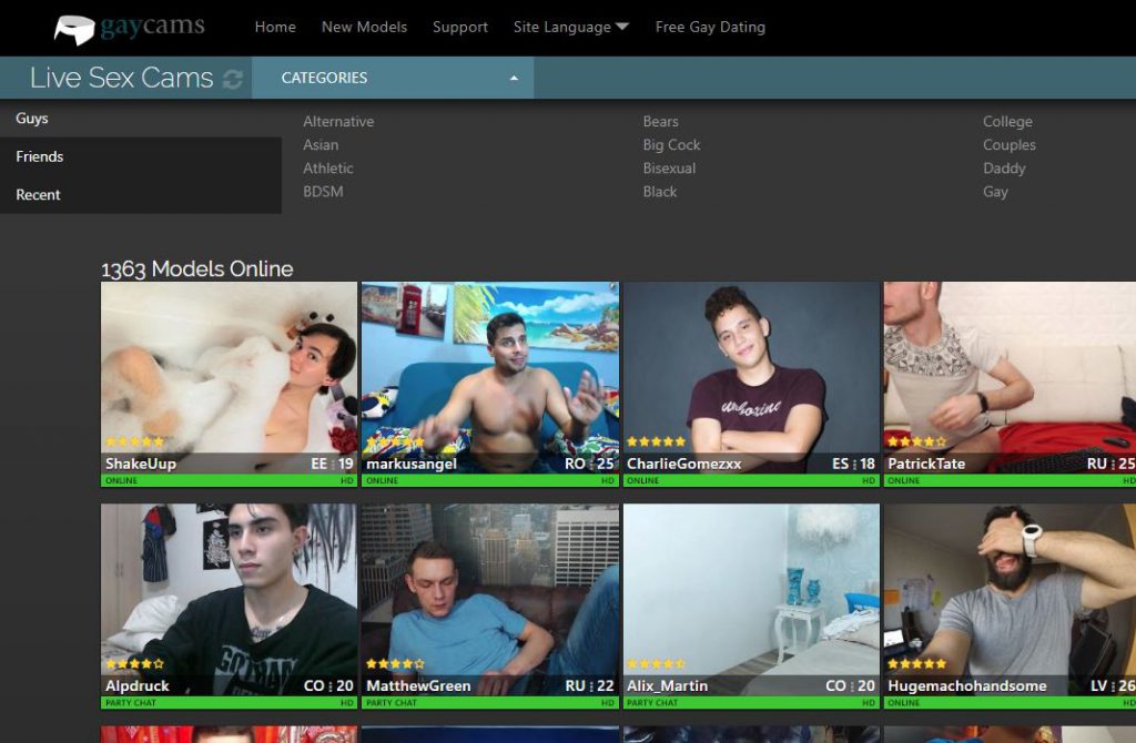 gaycams reviews