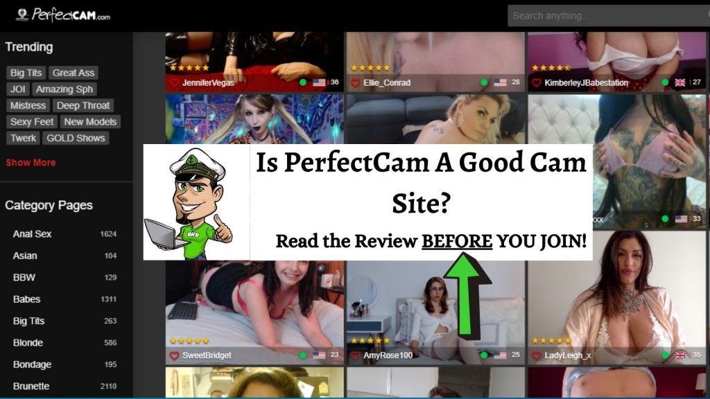 PerfectCam