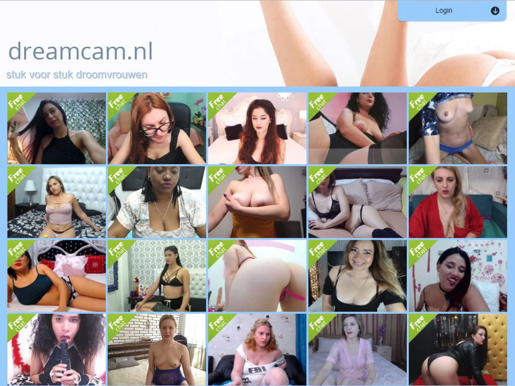 dreamcam reviews