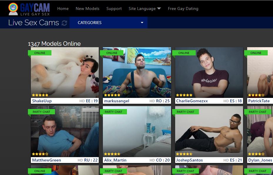 gaycam reviews
