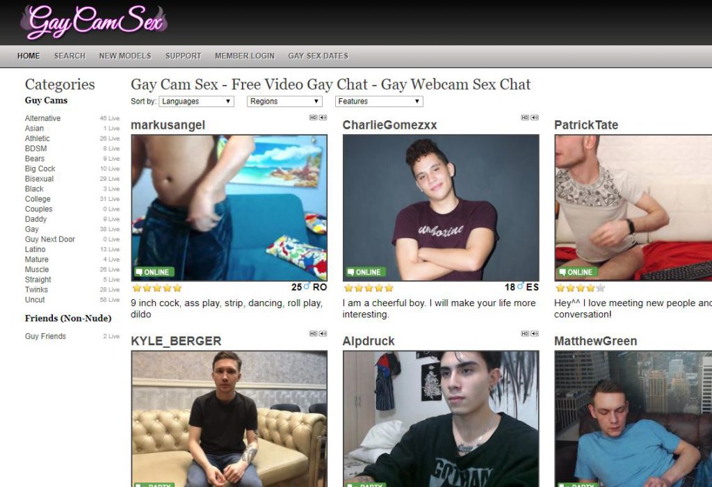 gaycamsex reviews