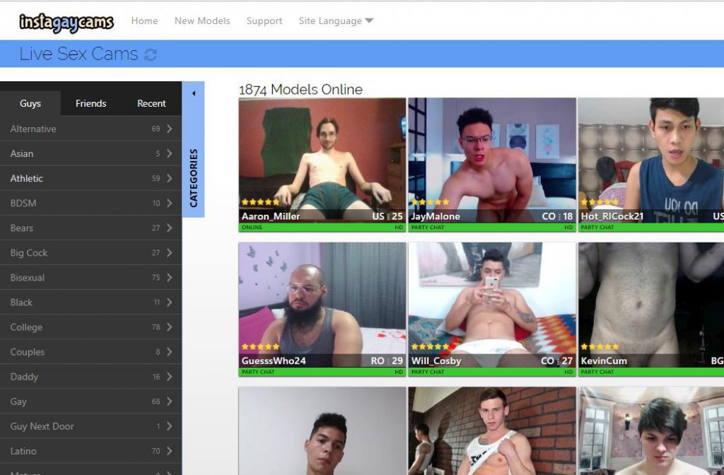 instagaycams reviews