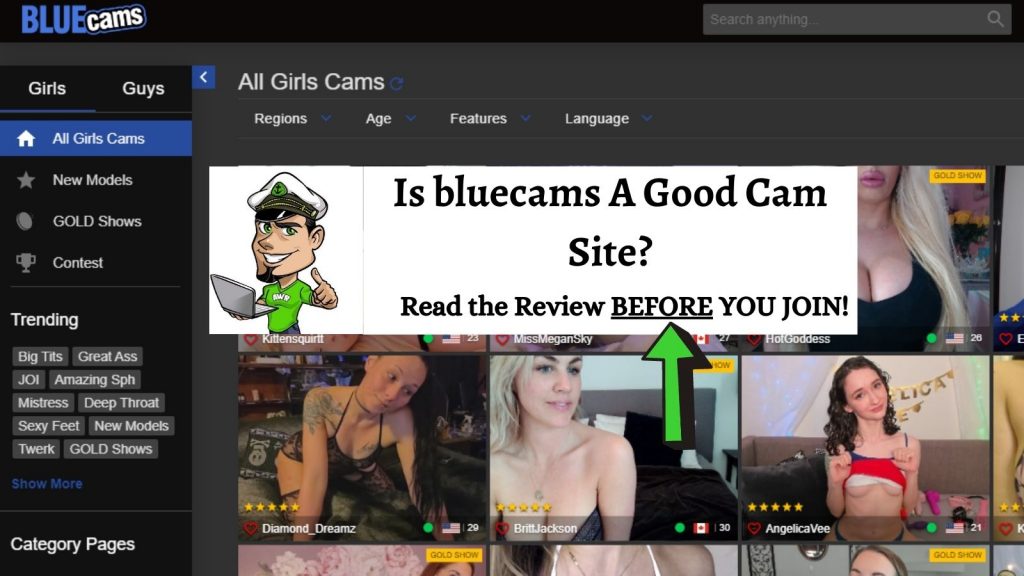bluecams