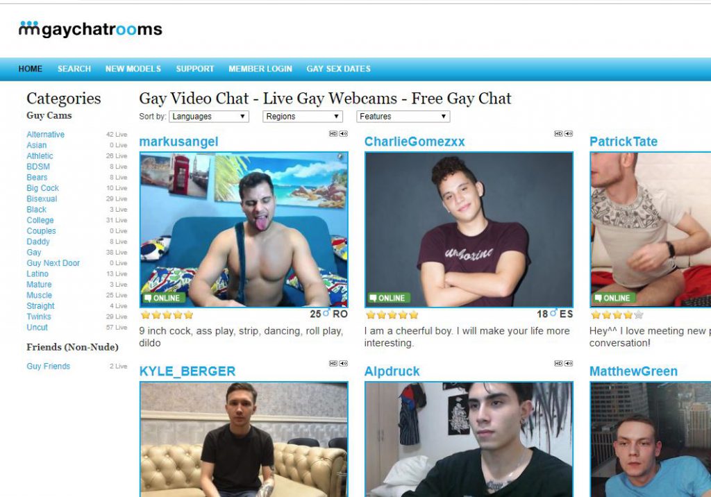 gaychatrooms reviews